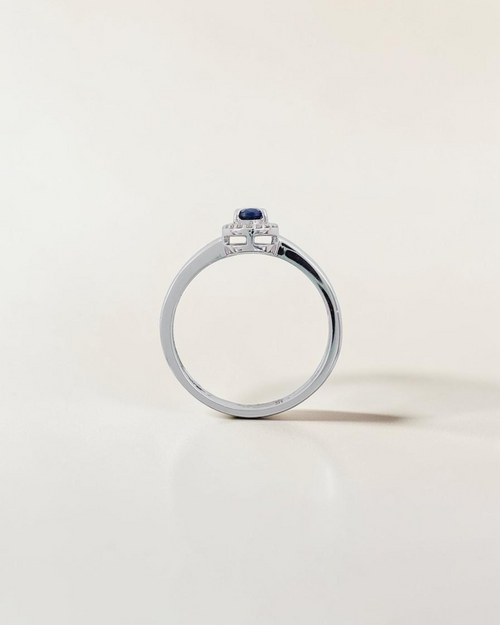 Anillo Bruma Orla de Zafiro en Oro Blanco